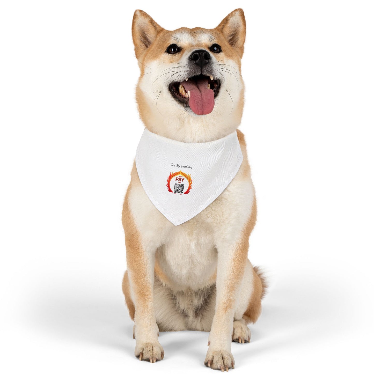 "Pet Payments" Bandana Collar