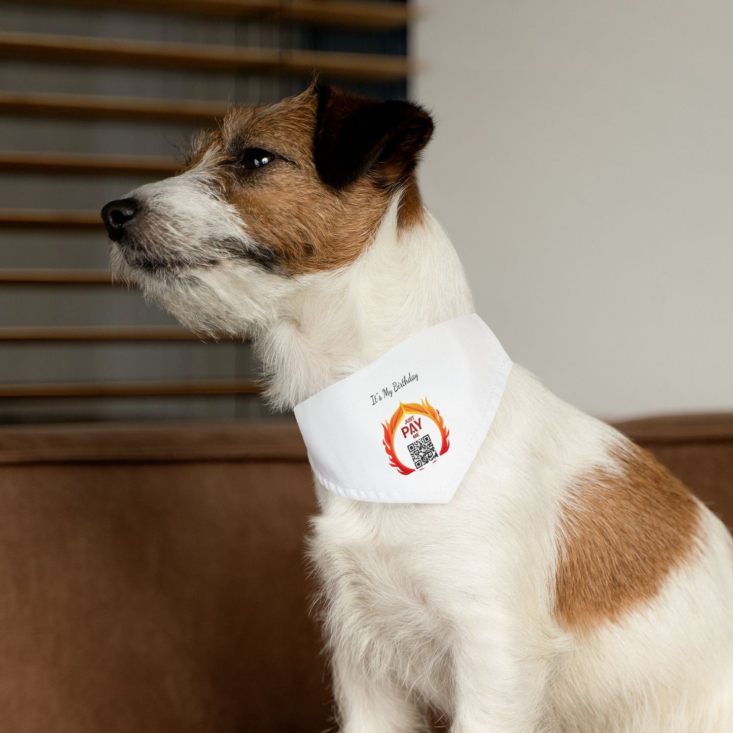 "Pet Payments" Bandana Collar