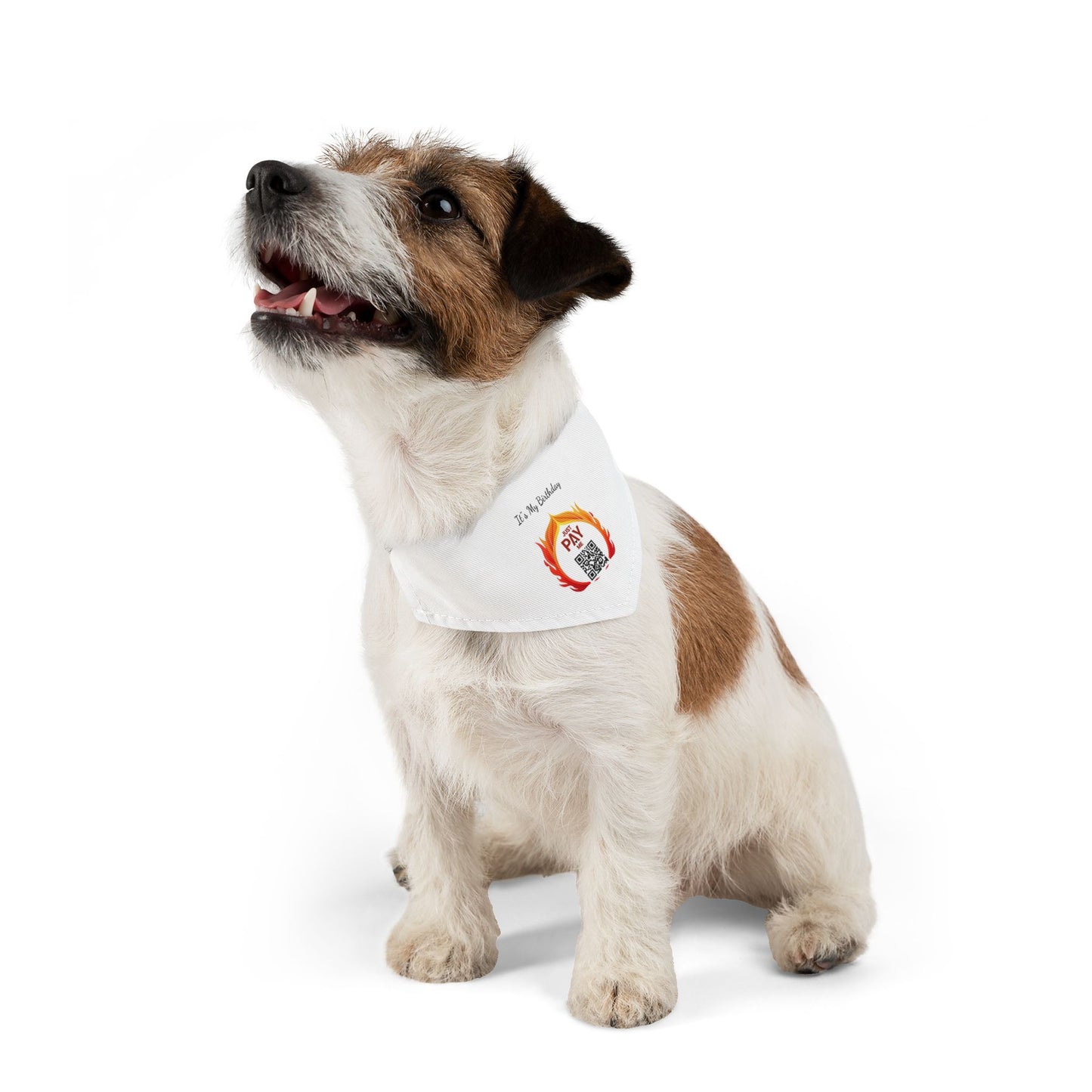 "Pet Payments" Bandana Collar