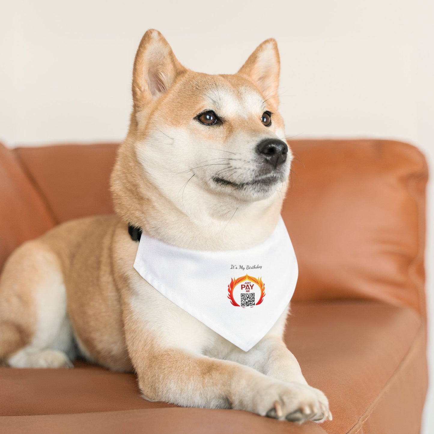 "Pet Payments" Bandana Collar